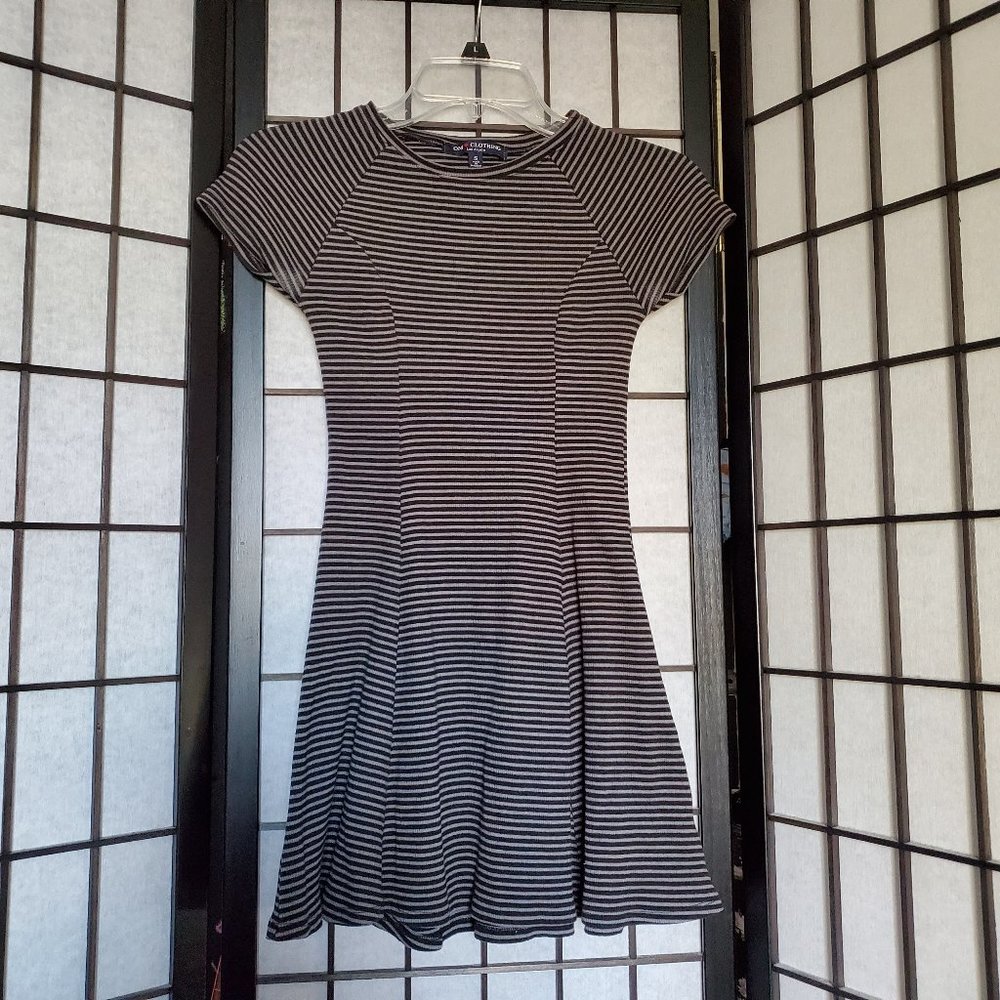 Skater Dress